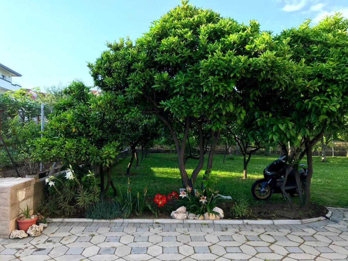 Apartments Kraja أولتْسي المظهر الخارجي الصورة