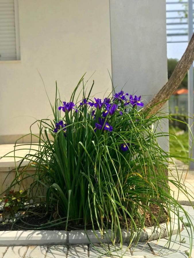 Apartments Kraja أولتْسي المظهر الخارجي الصورة