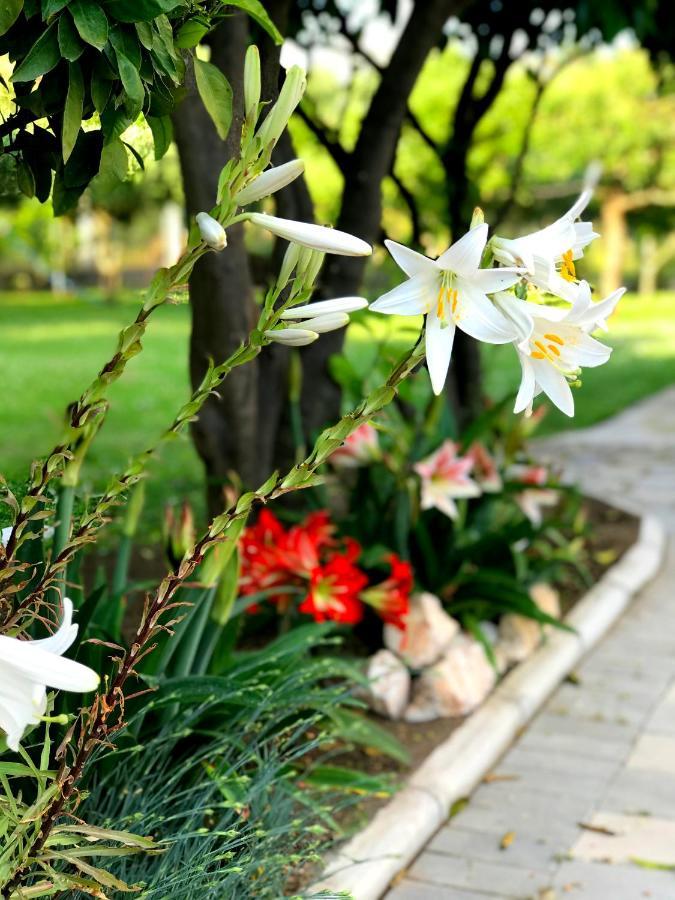 Apartments Kraja أولتْسي المظهر الخارجي الصورة